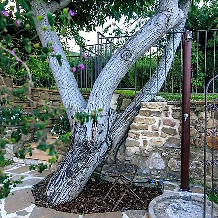 Palazzo Cantarella Bed & Breakfast Stella Cilento